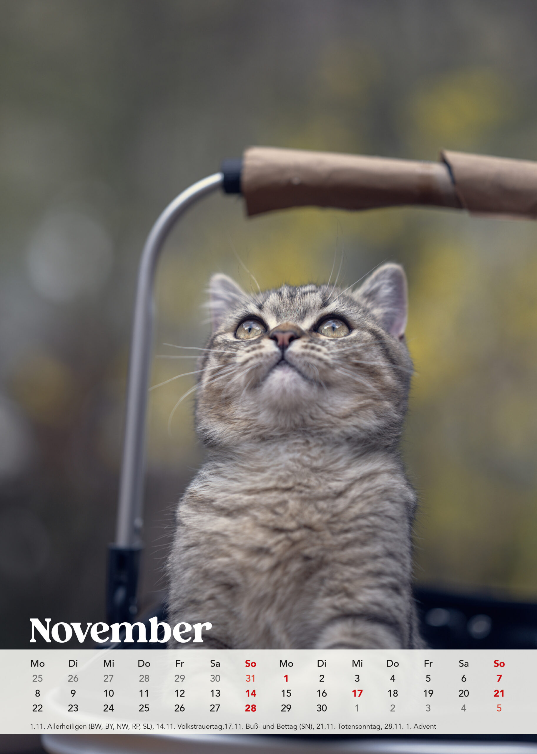 Brutus Kalender 2027 – Bild 13