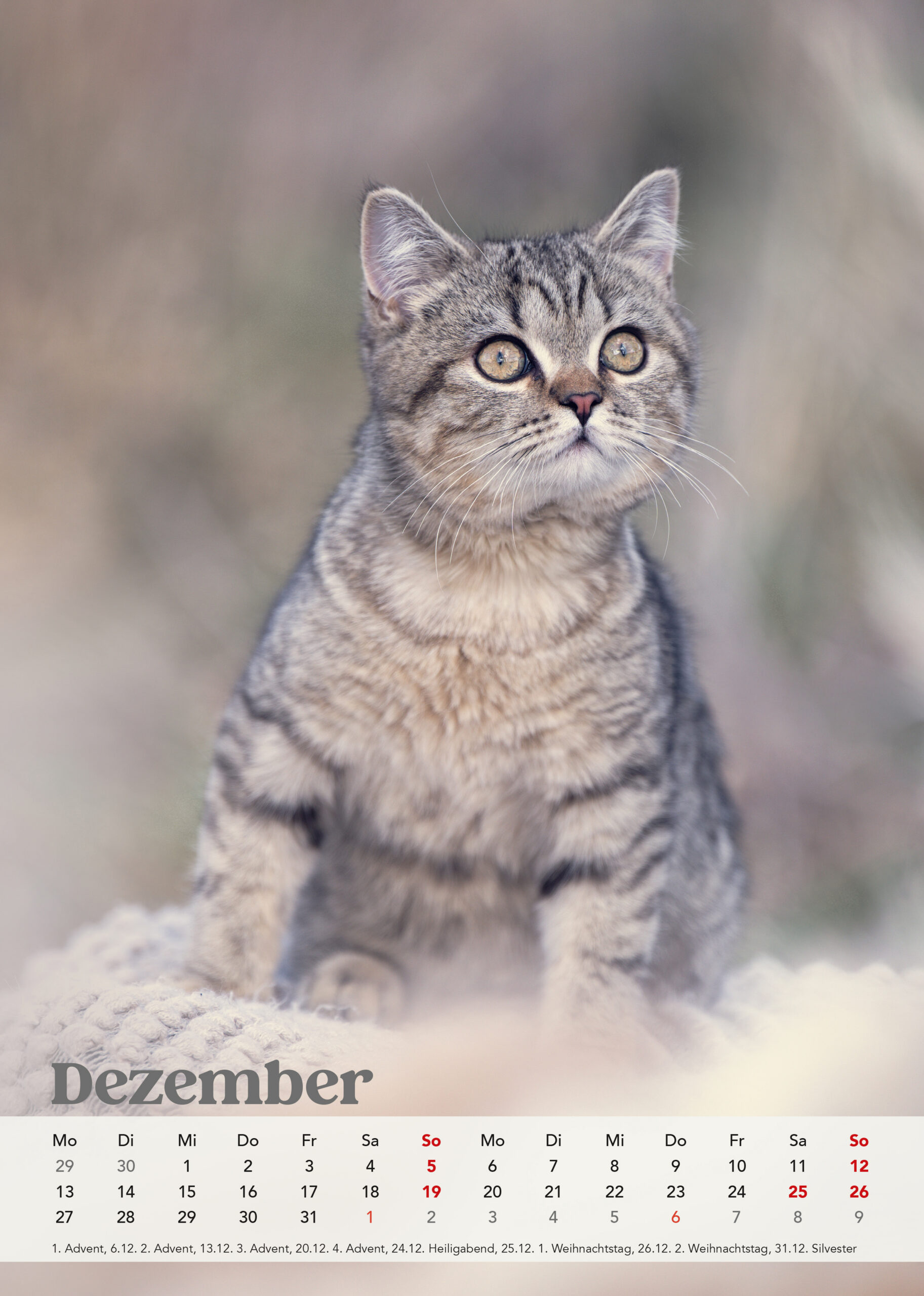 Brutus Kalender 2027 – Bild 14