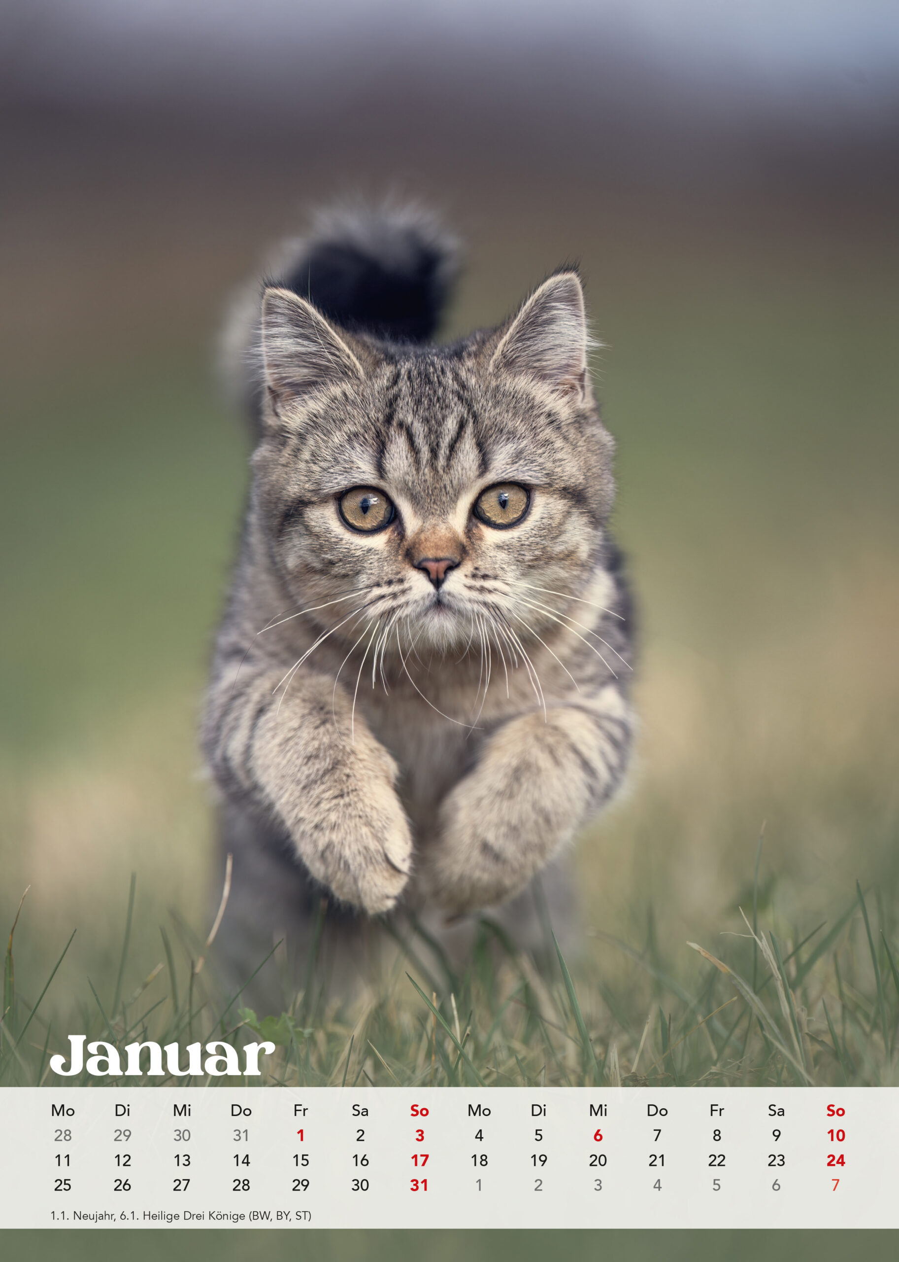 Brutus Kalender 2027 – Bild 3