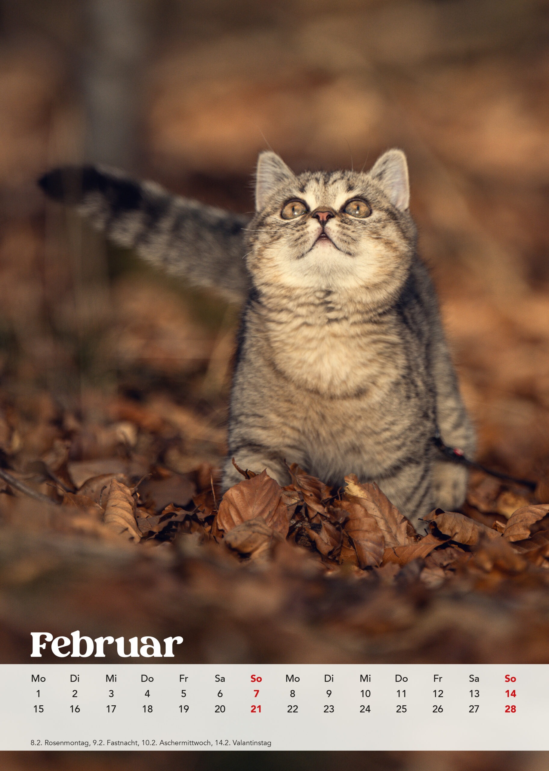 Brutus Kalender 2027 – Bild 4