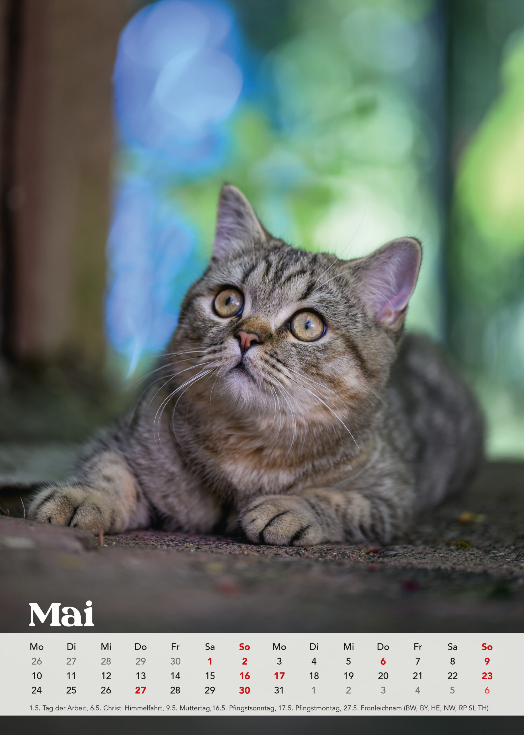 Brutus Kalender 2027 – Bild 7