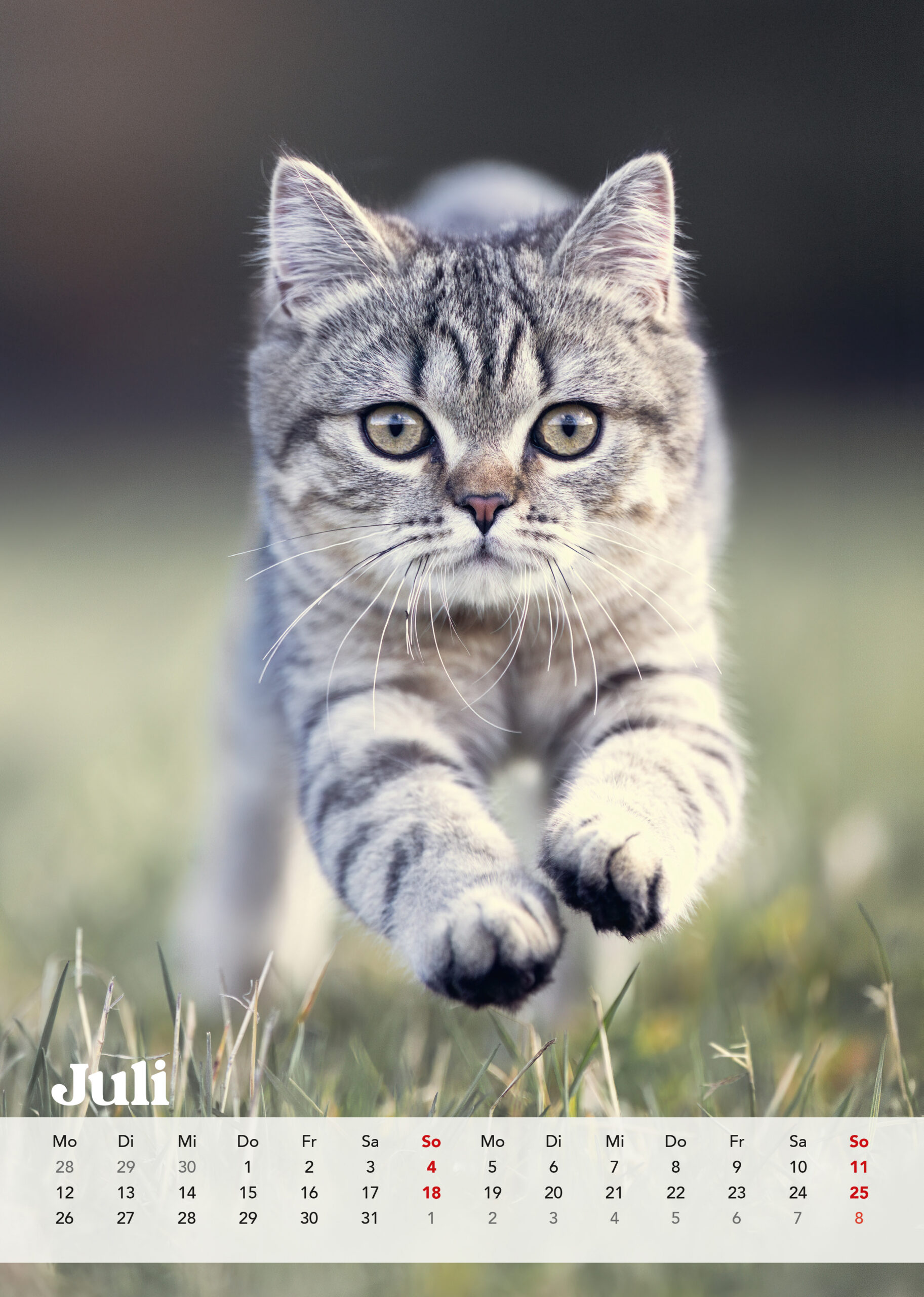 Brutus Kalender 2027 – Bild 9