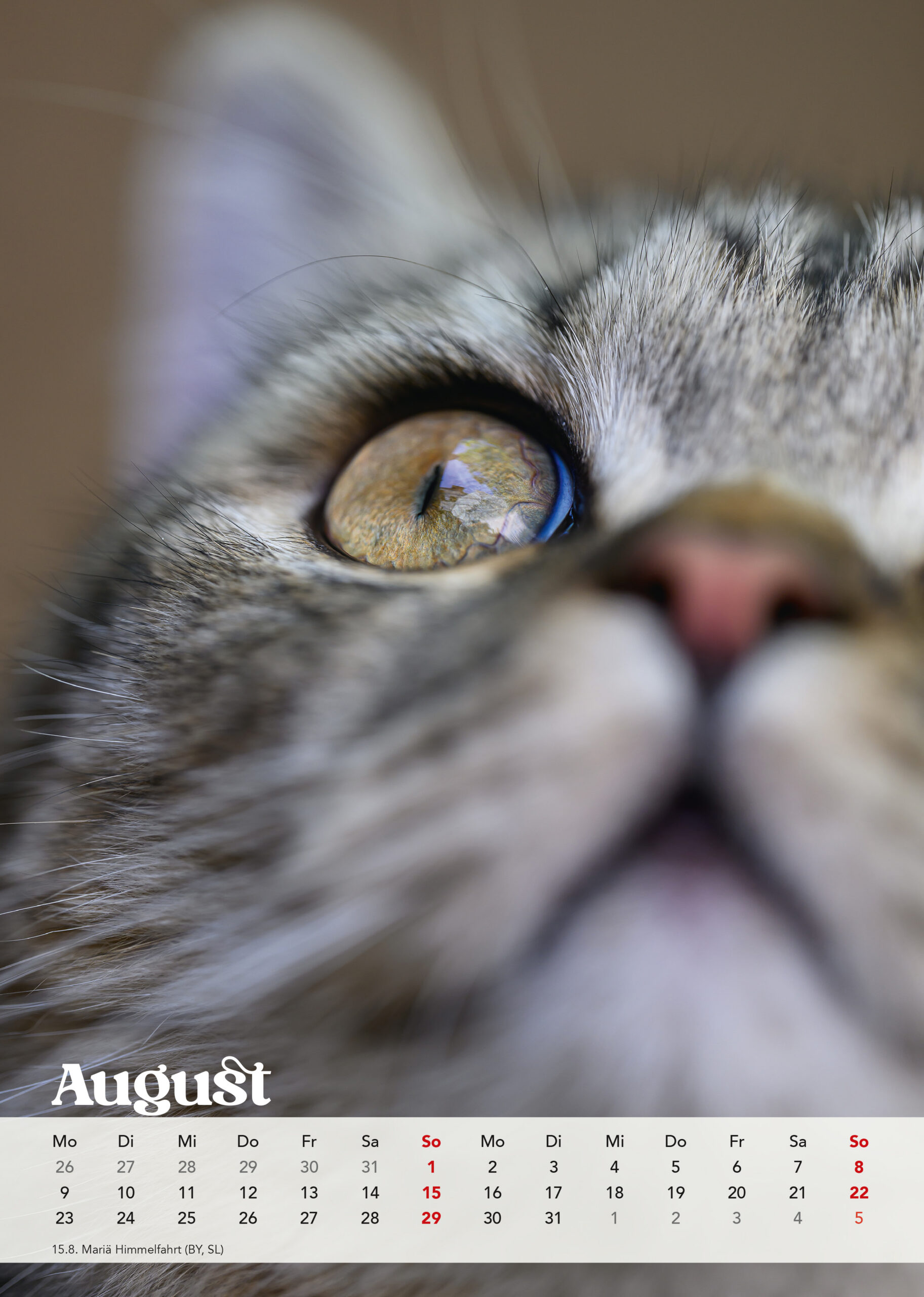 Brutus Kalender 2027 – Bild 10