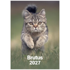 Brutus Kalender 2027