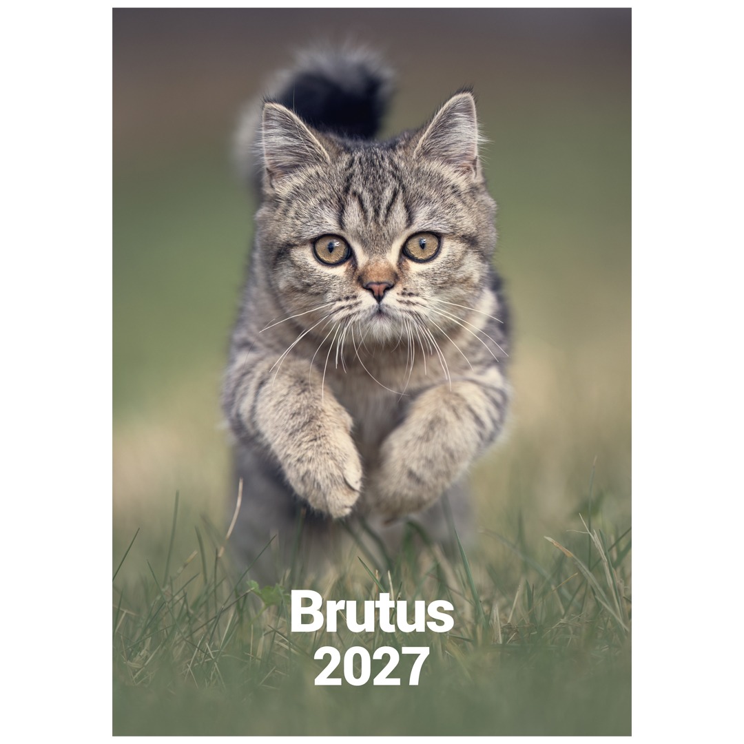 Brutus Kalender 2027